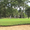 Golf 20111005 (28)